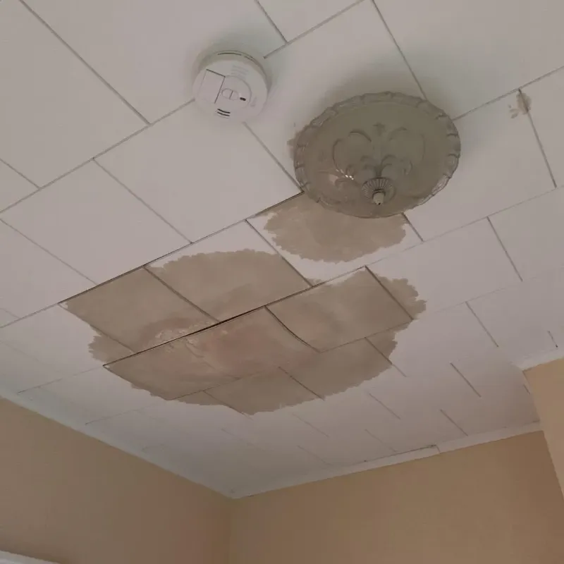 Ceiling Water Damage Repair in Seaford, DE