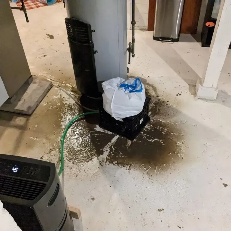 Sewage Backup Cleanup Service in Seaford, DE